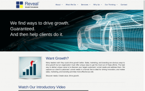 Website Design Screenshot of Reveal Growth